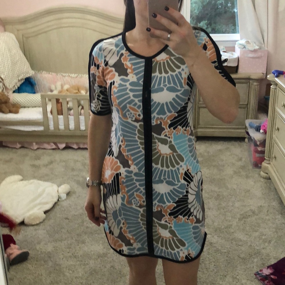 Rachel Roy beautiful dress